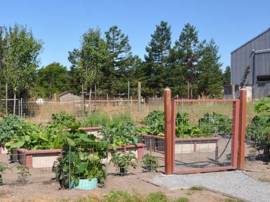 Raised bed planter boxes